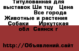 Титулованная для выставок Ши-тцу › Цена ­ 100 000 - Все города Животные и растения » Собаки   . Иркутская обл.,Саянск г.